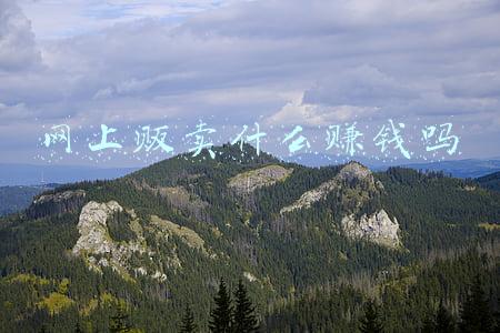网上贩卖什么赚钱吗