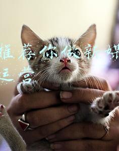 我不推荐你做新媒体短视频运营