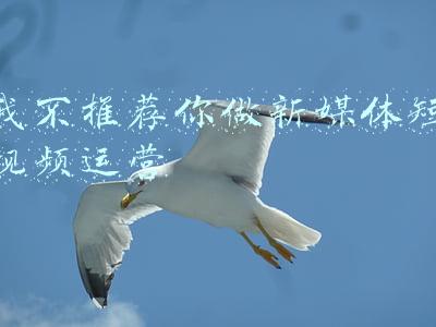 新媒体运营书籍推荐(快速入门新媒体运营，不能错过的书单推荐！（上）)