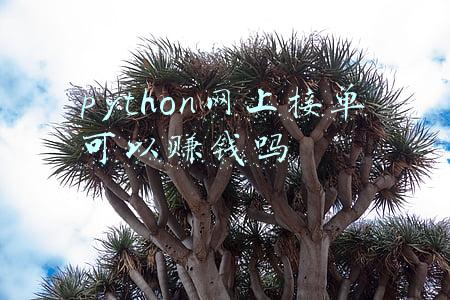 python接单一个月能赚多少(“隐形贫困者”自学Python做副业，教你如何月入10000+)