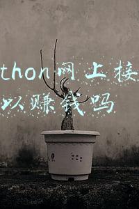python兼职在哪接单(大学生学完python靠几个接单网站兼职，实现经济独立)