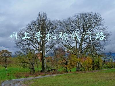 手机如何网上赚钱(三个不仅可以挣钱的副业，手机即可完成，有无经验都没问题)