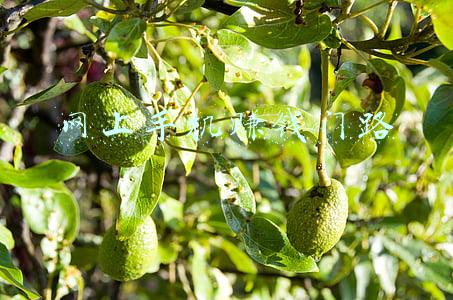 网上手机赚钱门路