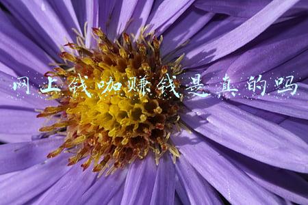 网上钱咖赚钱是真的吗