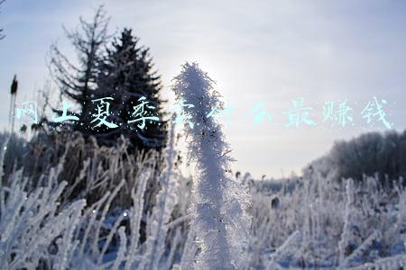 淘宝网服装夏季女装(阿里妈妈联合淘宝发布女装春夏货品趋势：“精致复古”回潮)