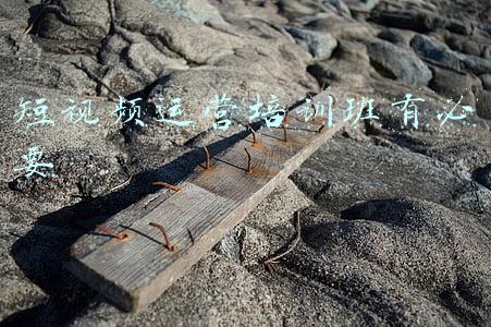 短视频运营培训班有必要