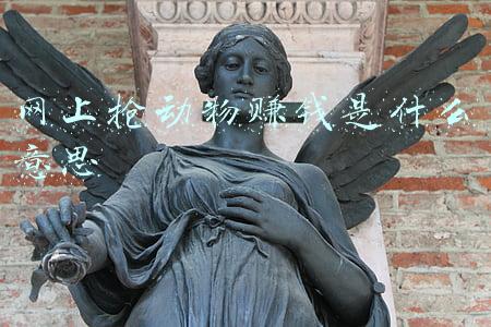 网上抢动物赚钱是什么意思
