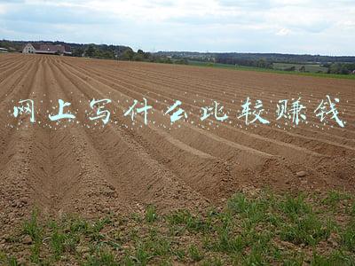哪个网站写书最赚钱(在番茄写小说日入25元，在读1.3万，还可以继续写下去吗？)