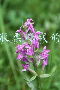 买股票怎么网上开户(股票佣金万1免5怎么开户？是永久的吗？有哪些券商的套路要避开？)