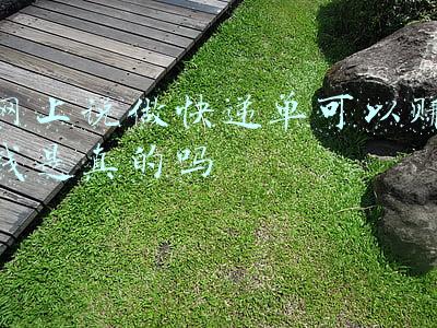 填快递单赚钱是真的吗(男子“卧底”快递公司，偷拍快递单打包售卖！每张8毛1小时赚400元)
