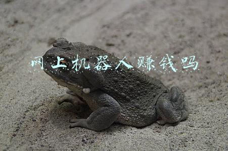 智能机器人赚钱骗局(5部手机同时抽中2300元“优惠券”，扫地机器人大奖背后是何套路？律师：涉嫌欺诈)
