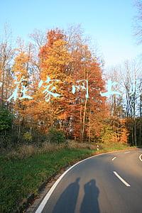 2017在家网上赚钱