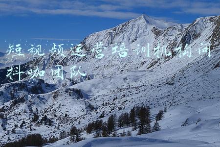 短视频运营培训机构问抖咖团队