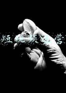 北京短视频运营讲座