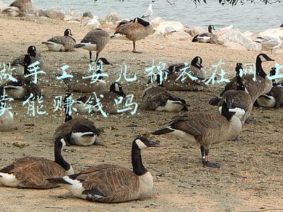 做手工婴儿棉衣在网上卖能赚钱吗