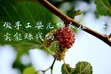 做手工婴儿棉衣在网上卖能赚钱吗