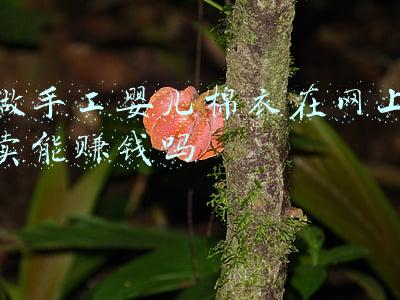 做手工婴儿棉衣在网上卖能赚钱吗
