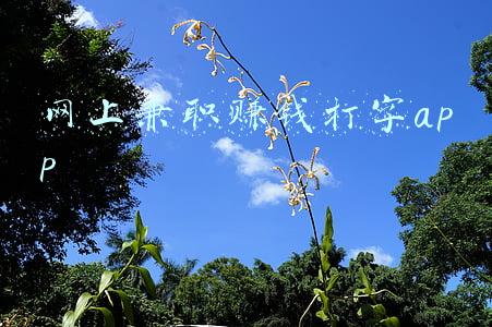 网上兼职赚钱打字app