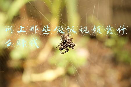 网上那些做饭视频靠什么赚钱