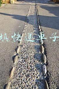 打快递单号赚钱平台(跑遍石家庄，我换个平台跑跑，看看流水咋样？)
