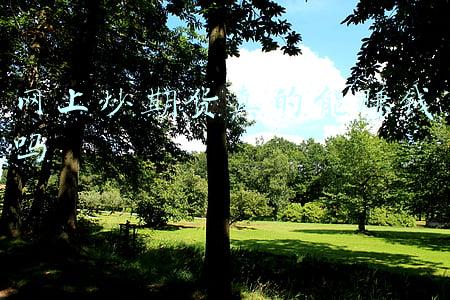 网上炒期货真的能赚钱吗
