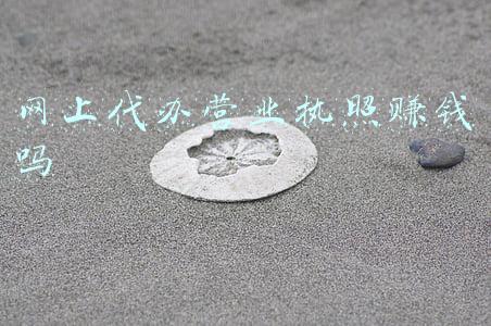 网上现在有代办执照可以做吗(个人收款码商用受限后，代办中介蹭热点，地摊商户切忌“病急乱投医”)