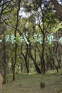网上写代码赚钱(教你10种靠代码发家致富的方法)