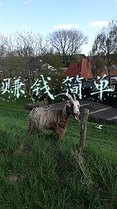 网上赚钱兼职(普通人想要在互联网上兼职赚钱，不懂这些做什么都赚不到钱)