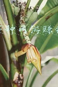 网游源码网(女校长死于谁之手？某易游戏：与我无关)