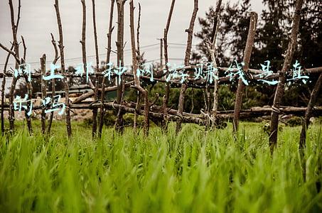 网轮网游加速器(99%的人都不知道 教你提升300%的网速秘籍)