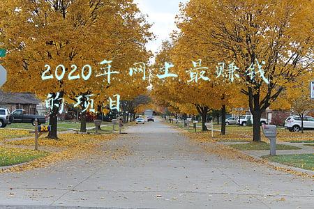 2020年网上最赚钱的项目