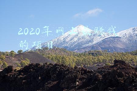 2020年网上最赚钱的项目