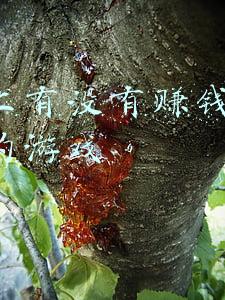 可以赚钱的游戏一天赚100~200元!是真的吗(小游戏工作室生存之道：日赚两百不是梦)