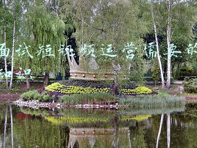 面试短视频运营需要的知识