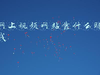 网上视频网站靠什么赚钱