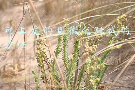 微信上如何赚钱的方法(微信到底靠什么赚钱？看了这7点，原来都有你的贡献)