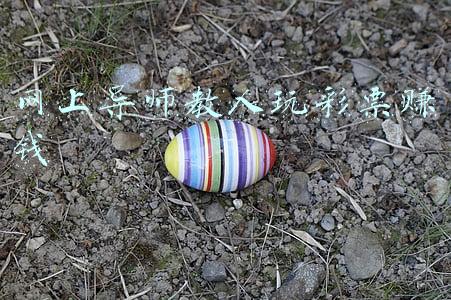 网上导师教人玩彩票赚钱