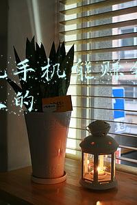 手机靓号在线选号网(附条件手机“靓号”“你情”不一定“我愿”)