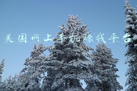 国外赚钱网站赚美金(玩游戏能赚钱？头号链游Axie月流水远超王者荣耀，成海外玩家生计来源)