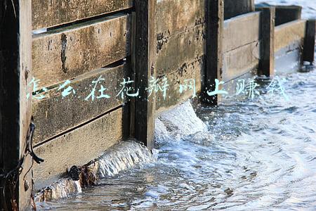 花瓣网靠什么盈利(你的副业焦虑，养活了多少人？)