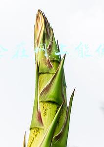 团贷网开始退本金了吗(最新通报！“团贷网“案件累计追缴冻结资金超57亿元，收回出借资金37亿)