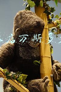万斯官网_万斯