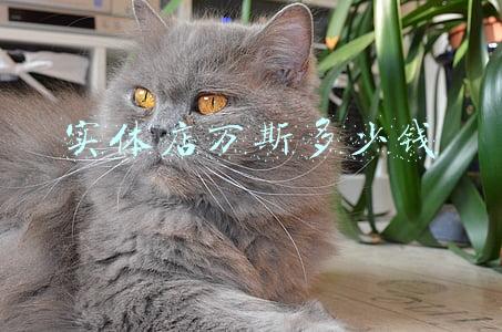 万斯多少钱一双 实体店万斯多少钱一双