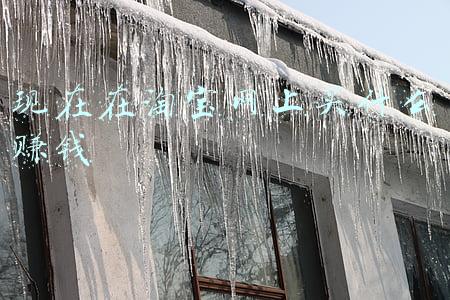 现在在淘宝网上买什么赚钱