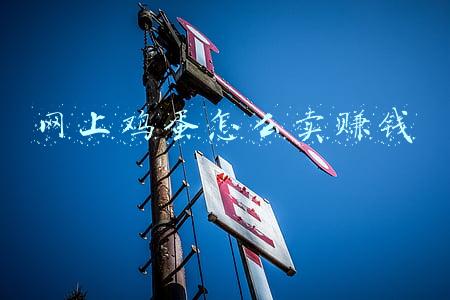 批发鸡蛋卖鸡蛋挣钱吗(视频｜鸡蛋论个卖！巨野一养殖户20万只蛋鸡多赚160万)