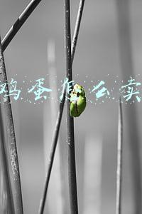 鸡蛋销售网(自治区疫情防控新闻发布会丨百色市生活物资供应充裕，医疗、应急物资储备充分)