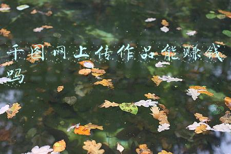 千图网上传图片给钱吗(分享给大家3个「副业赚钱」的靠谱思路)
