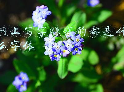 手写字赚钱(山东临沂：女子给车写字日入千元，前来求字的车主络绎不绝)