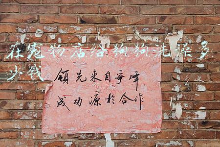 幼犬去宠物店洗澡一次多少钱：宠物店给幼犬洗个澡要多少钱