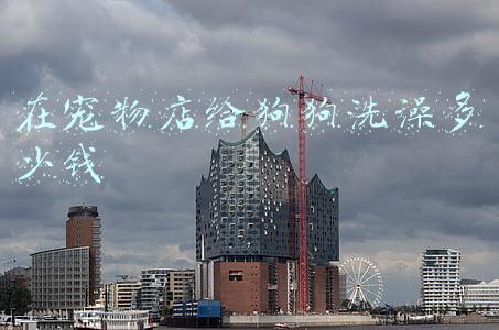宠物店狗狗洗澡多少钱(宠物店狗狗洗澡多少钱一次)